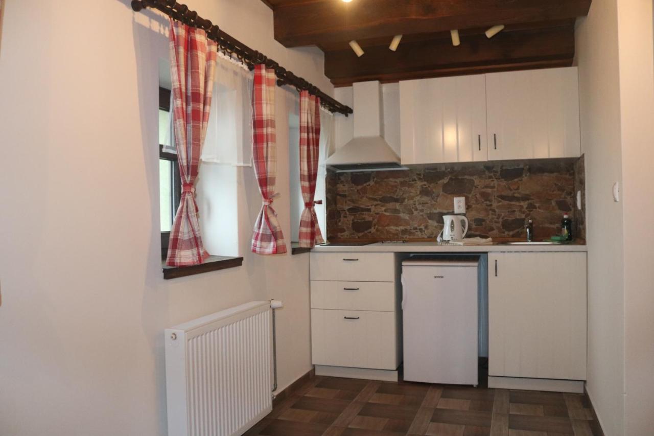 Apartmany Kynast Albrechtice v Jizerskych horach Buitenkant foto