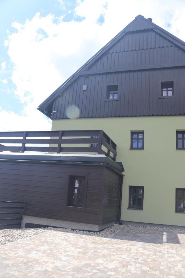 Apartmany Kynast Albrechtice v Jizerskych horach Buitenkant foto