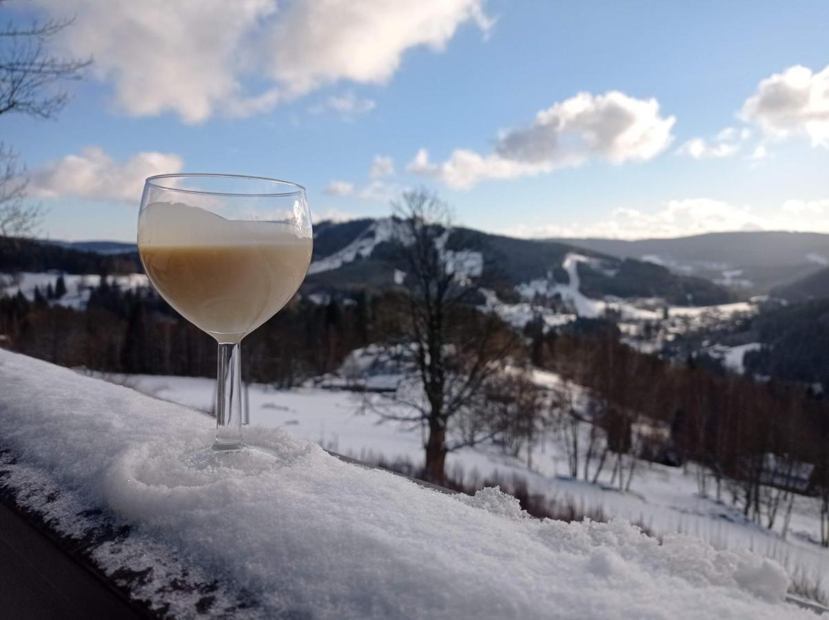 Apartmany Kynast Albrechtice v Jizerskych horach Buitenkant foto